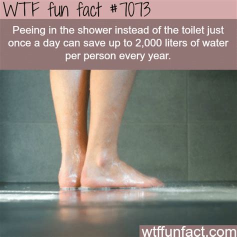Peeing In The Shower Wtf Fun Facts