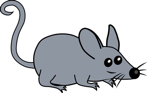 Ratón Animal Dibujos Animados Gráficos Vectoriales Gratis En Pixabay