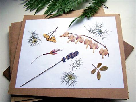 WSHG.NET | Creating Pressed Botanicals for Décor — The Art ...