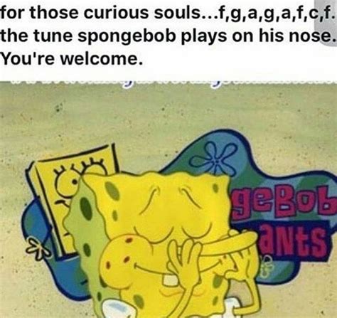 Spongebob Memes Hilarious True 3 Funny Spongebob Memes Music Humor