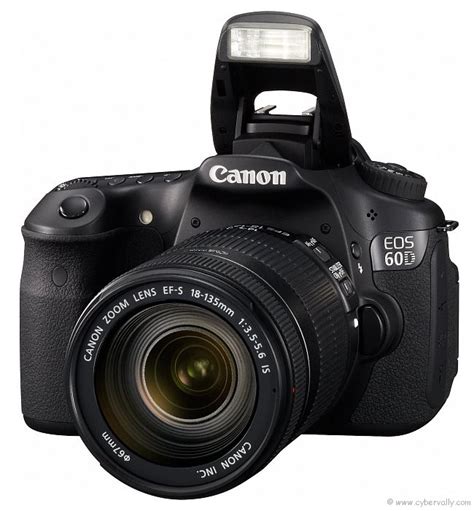 Top 6 Dslr Cameras For Professional Photography