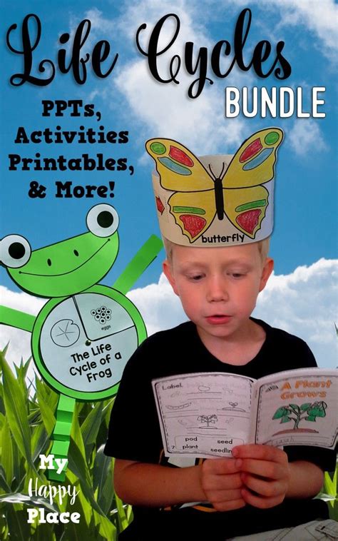 Life Cycles Bundle Butterflies Frogs And Plants Life Cycles
