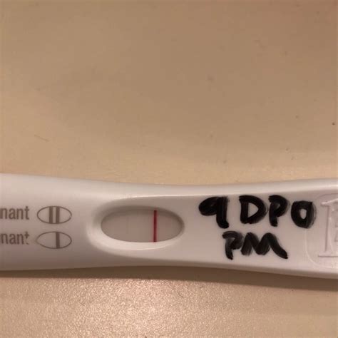 Best Early Pregnancy Test Before Missed Period