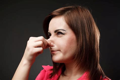 Common Hvac Odors The Cause And How To Eliminate The Smell