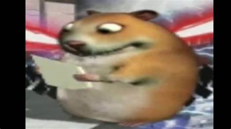 Хомяк на диете