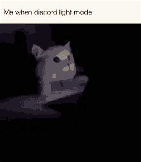 Discord Discord Light Mode  Discord Discord Light Mode Cat