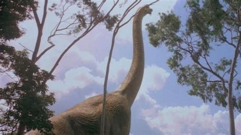 At The Beginning Of Jurassic Park We See A Brachiosaurus Eating Leaves From A Tree Scientists