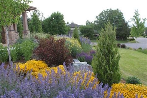 Best Xeriscape Landscaping Colorado Inspirations 2182 Xeriscape Front