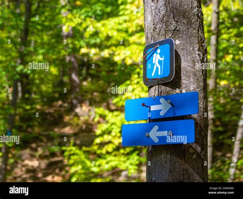 A Hiking Trail Marker Indicates A Fork In The Footpath Arrows On Blue