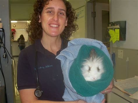 a bunny burito is the best way to recover our hop along patients after surgery veterinary