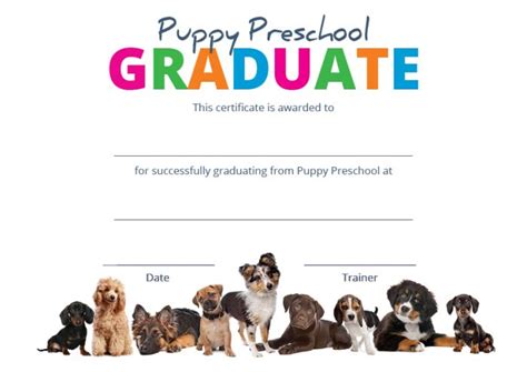 Puppy Graduation Certificates Veterinary Branding