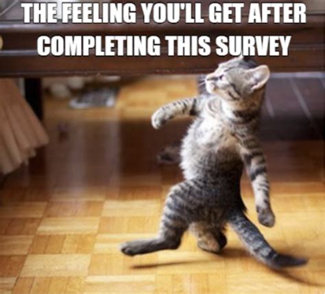 20 Funny Survey Memes Of All Time Formsapp