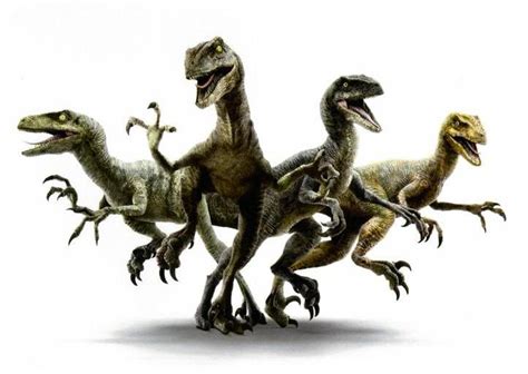 Jurassic World Velociraptor Pack Jurassic Park Wiki Fandom Powered