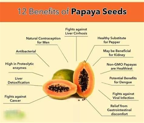 Papaya Health Benefits Seeds Benefits Fruit Benefits Healthy Fruits