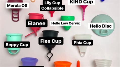 Reusable Period Products Menstrual Cups Discs More Period Nirvana