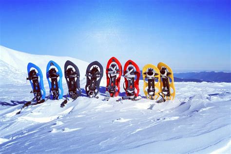 Top 10 Snowshoeing Destinations In Alaska Alaska Tour Jobs