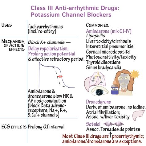 Pharmacology Glossary Anti Arrhythmic Drugs Class Iii Draw It To