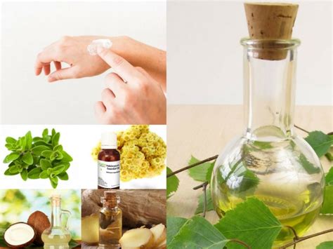 Birch Essential Oil Benefits Natural Recipes And Tips