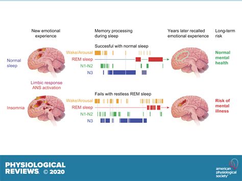 Brain Mechanisms Of Insomnia New Perspectives On Causes And