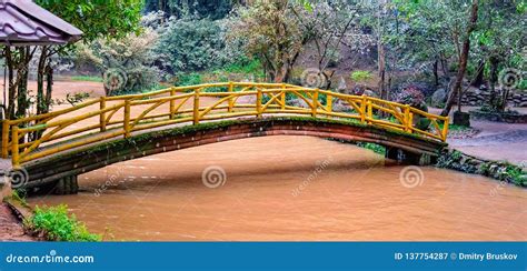Wooden Bridge Across The River Stock Image Image Of Flowing Green