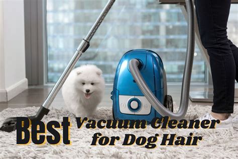 Best Cordless Wet Dry Vacuum For Hardwood Floors - best cordless wet and dry vacuum cleaner for hardwood floors