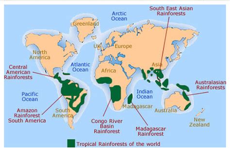 Equatorial Rainforest Map