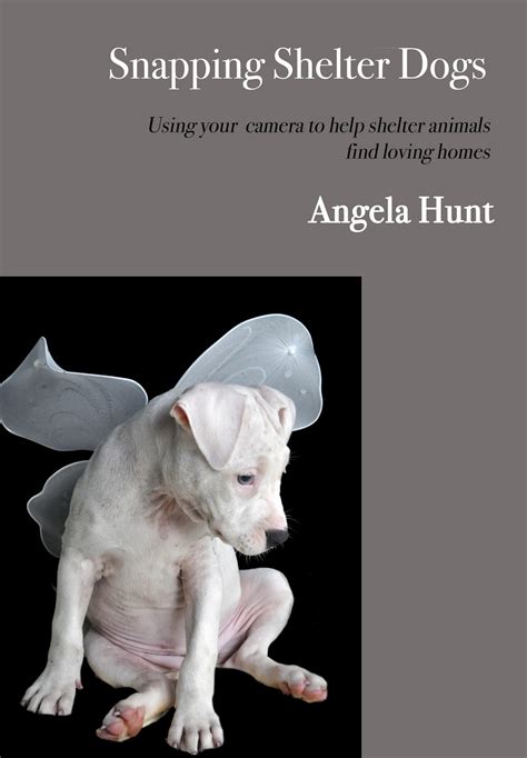 A Life In Pages Free Kindle Book Snapping Shelter Dogs
