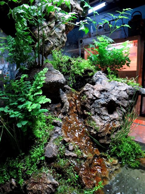 Paludarium With Water Fall Cave And Ponds Frog Terrarium Vivarium