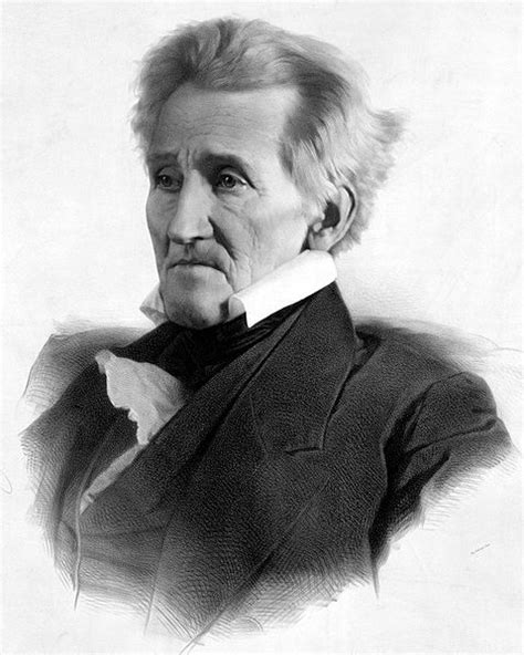 Andrew jackson's life shows his patriotism for america and democracy. Presidents and the Law: Andrew Jackson and The Removal of ...