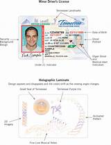 How To View Your Drivers License Online