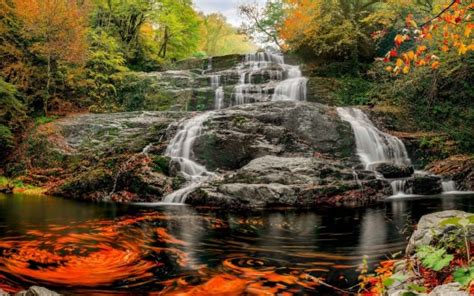 Waterfalls Stream Rocks Green Orange Yellow Autumn Trees Fishes On