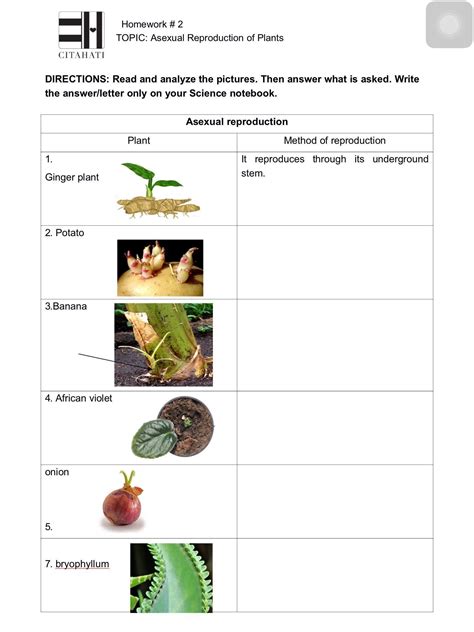 Plant Reproduction Worksheets Answer Key