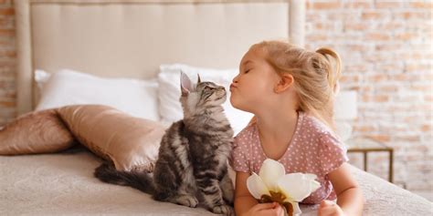 ces 10 photos dévoilent la complicité entre les enfants et leurs chats