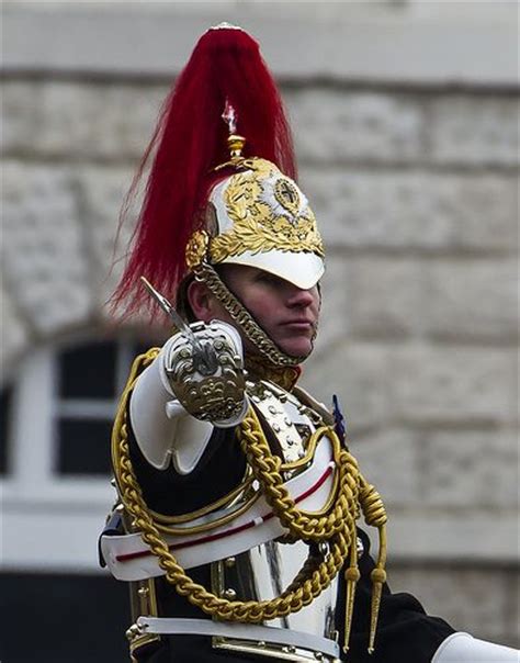Household Cavalry Mounted Regiment Major Generals Review Horse