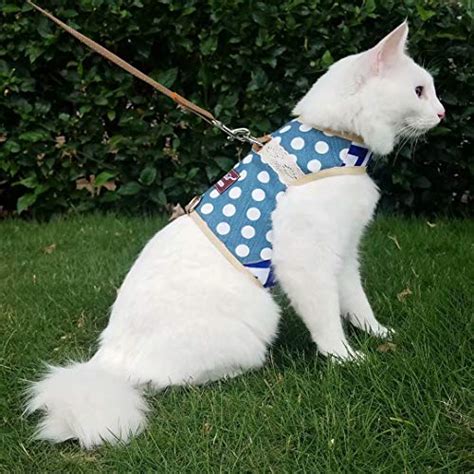 The 8 Best Cat Harnesses Of 2023 Reviews And Guide