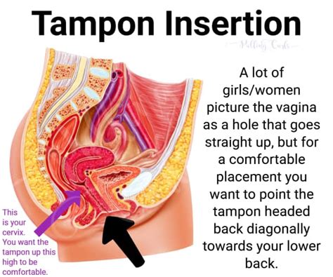 Cardboard or plastic, every applicator will have the. Can You Pee With a Tampon In and other Magic of Womanhood ...