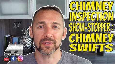 Chimney Inspection Show Stopper Chimney Swifts Youtube