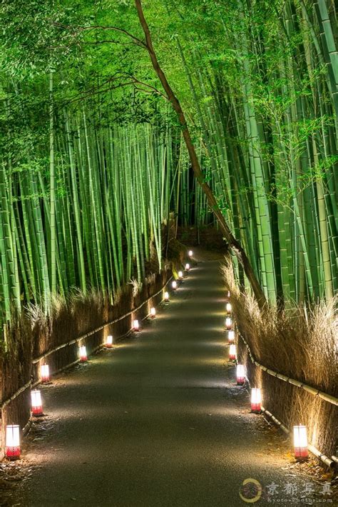 Bamboo Road In Arashiyama Park Kyoto Japan By Artist Unknown Like A
