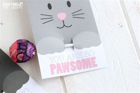 Funny Cat Valentines Cards Diy Valentine Card Printable Funny