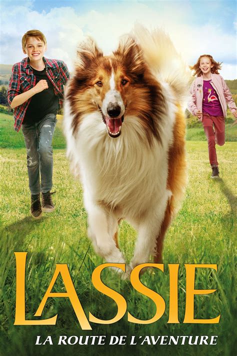 Regarder Lassie La Route De Laventure 2020 Film Complet Streaming