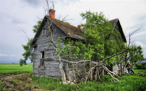 Vintage Farmhouse Wallpaper