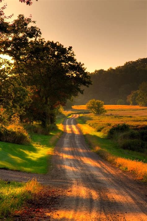 Country Road On Summer Dusk Country Landscaping Country Roads Landscape