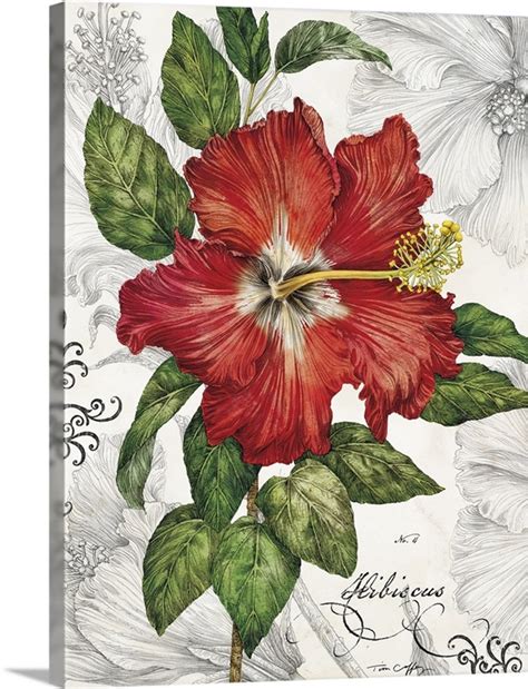 Red Hibiscus On White Wall Art Canvas Prints Framed Prints Wall