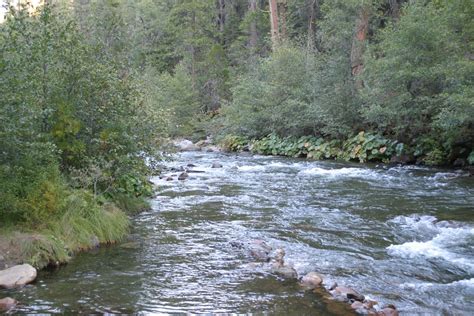 The park is both beautiful and educational. Calaveras Big Trees State Park_Stanislaus River | State ...