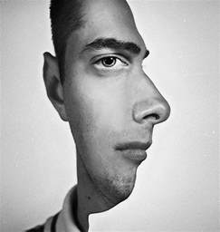 Lecture Optical Illusion And Perception A Reflective Blog