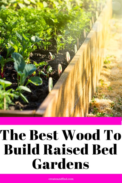 Best wood to use for raised garden beds. The Best Wood for Raised Bed Gardens | Wood for raised ...