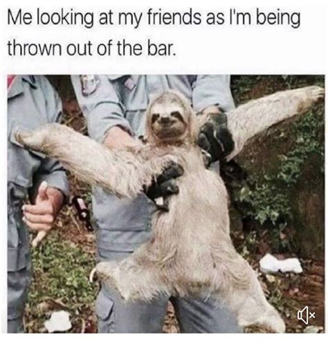 The Sloth Memes Are The Best Nsfw O T Lounge