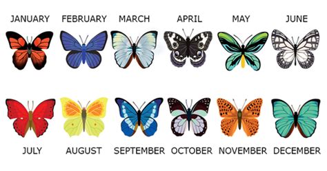 Auras Birth Symbols May Birth Month Symbols Month Animals Butterfly