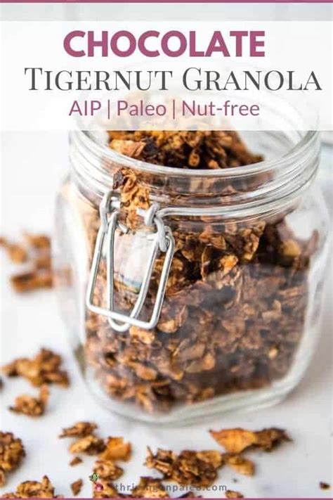 Chocolate Tigernut Granola Paleo AIP Nut Free Thriving On Paleo