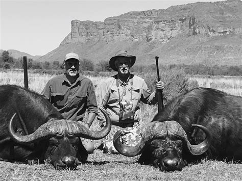 Cape Buffalo Hunting South Africa 2019